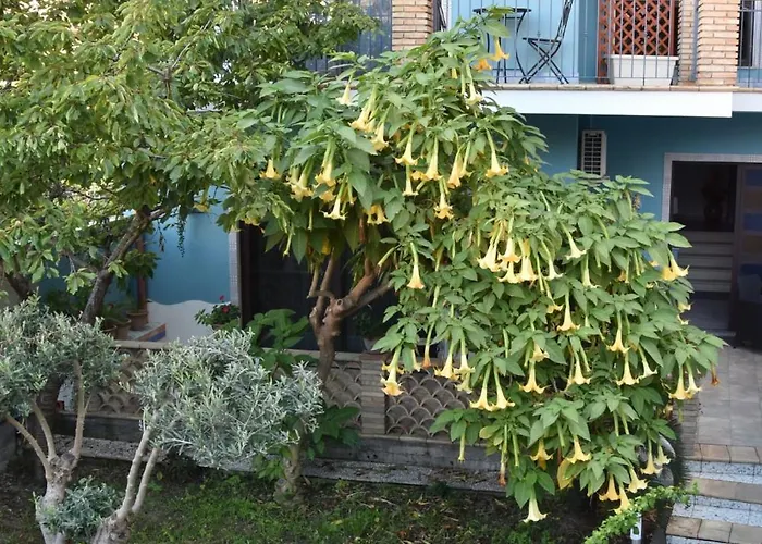 Taorbay Bed & Breakfast 3*